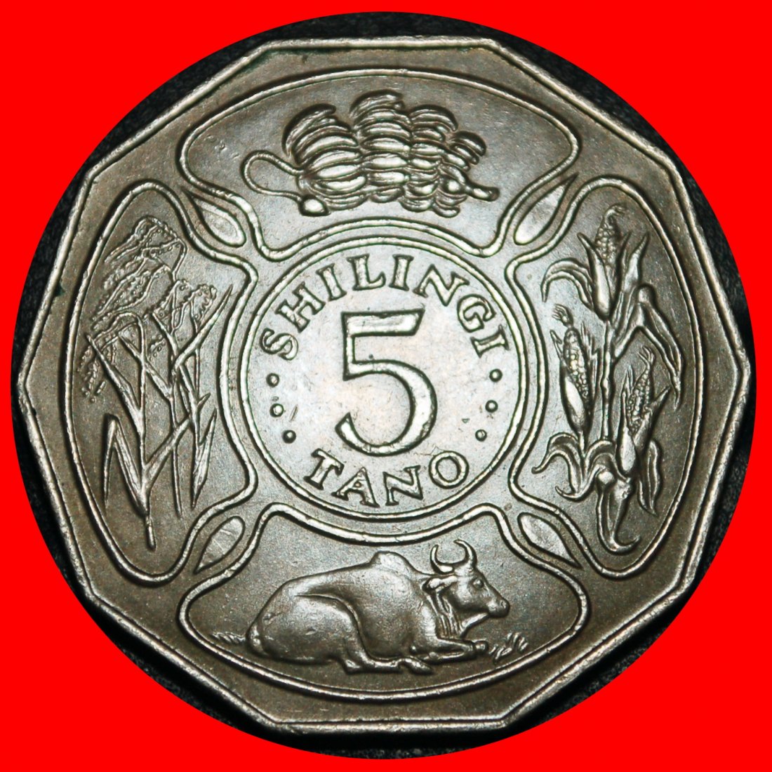  Ⰿ GREAT BRITAIN (1972-1980): TANZANIA ★ 5 SHILLINGS 1972 COW FAO!★LOW START ★ NO RESERVE!   