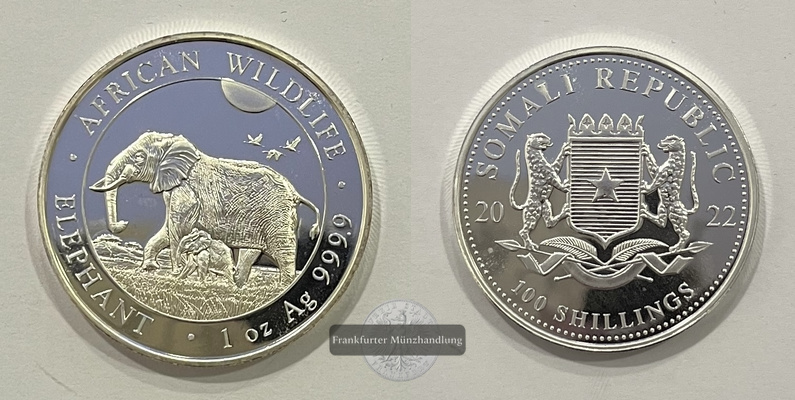  Somalia  100 Schilling 2022 African Wildlife Elephant FM-Frankfurt  Feinsilber: 31,1g   