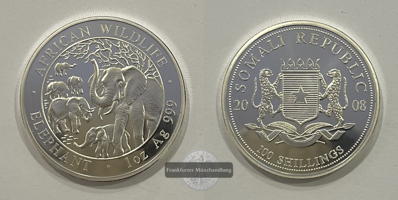  Somalia  100 Schilling 2008 African Wildlife Elephant FM-Frankfurt  Feinsilber: 31,1g   