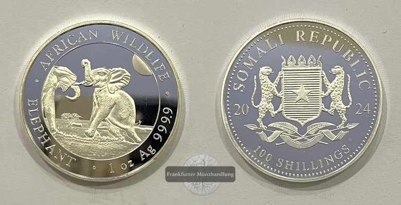  Somalia  100 Schilling 2024 African Wildlife Elephant FM-Frankfurt  Feinsilber: 31,1g   