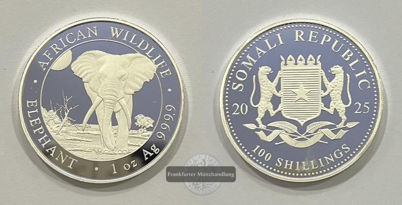  Somalia  100 Schilling 2025 African Wildlife Elephant FM-Frankfurt  Feinsilber: 31,1g   