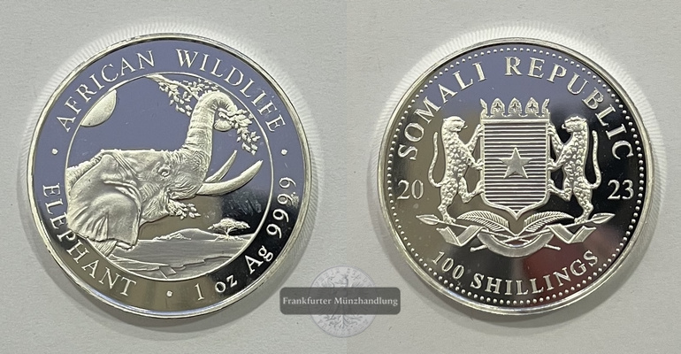  Somalia  100 Schilling 2023 African Wildlife Elephant FM-Frankfurt  Feinsilber: 31,1g   