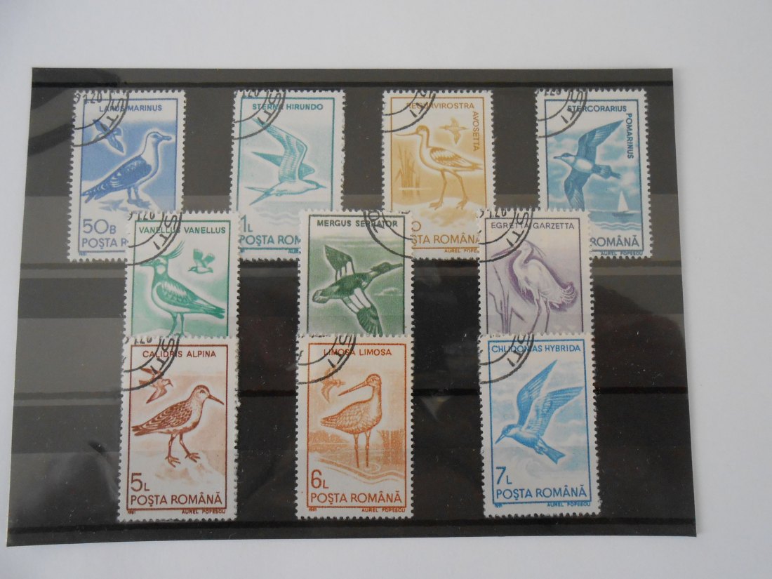  Briefmarken Rumänien 1991 -Wasservögel- (64)   