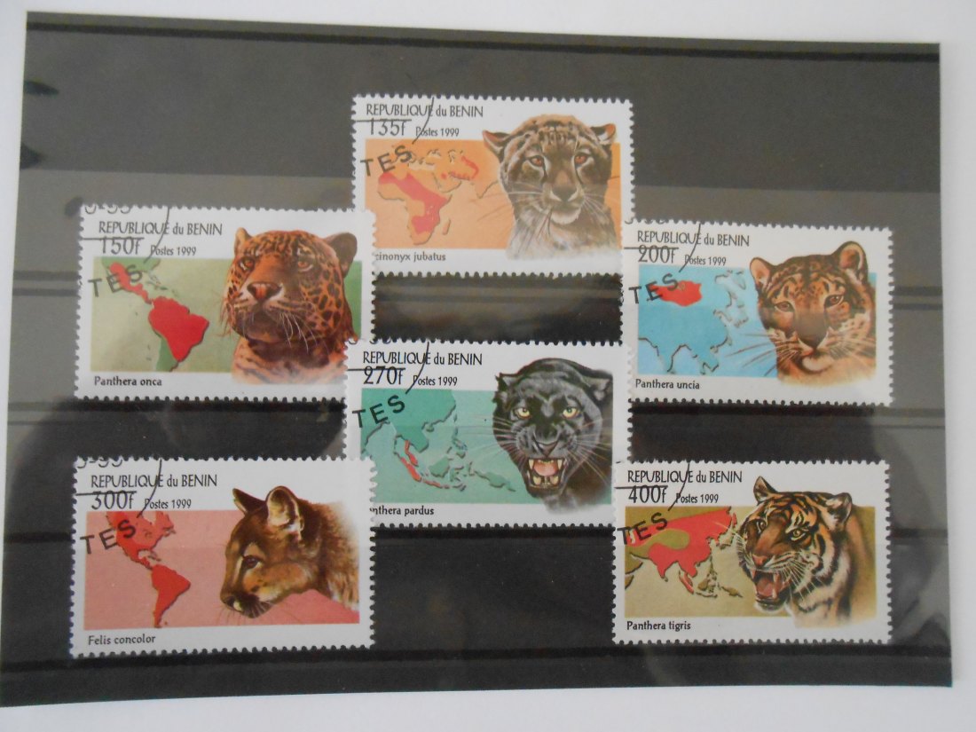  Briefmarken Benin 1999  -Raubkatzen- (67)   