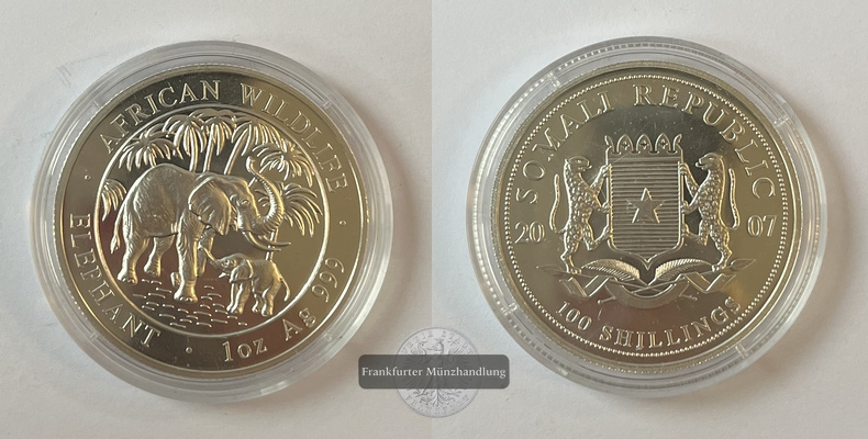  Somalia  100 Schilling 2007 African Wildlife Elephant FM-Frankfurt  Feinsilber: 31,1g   