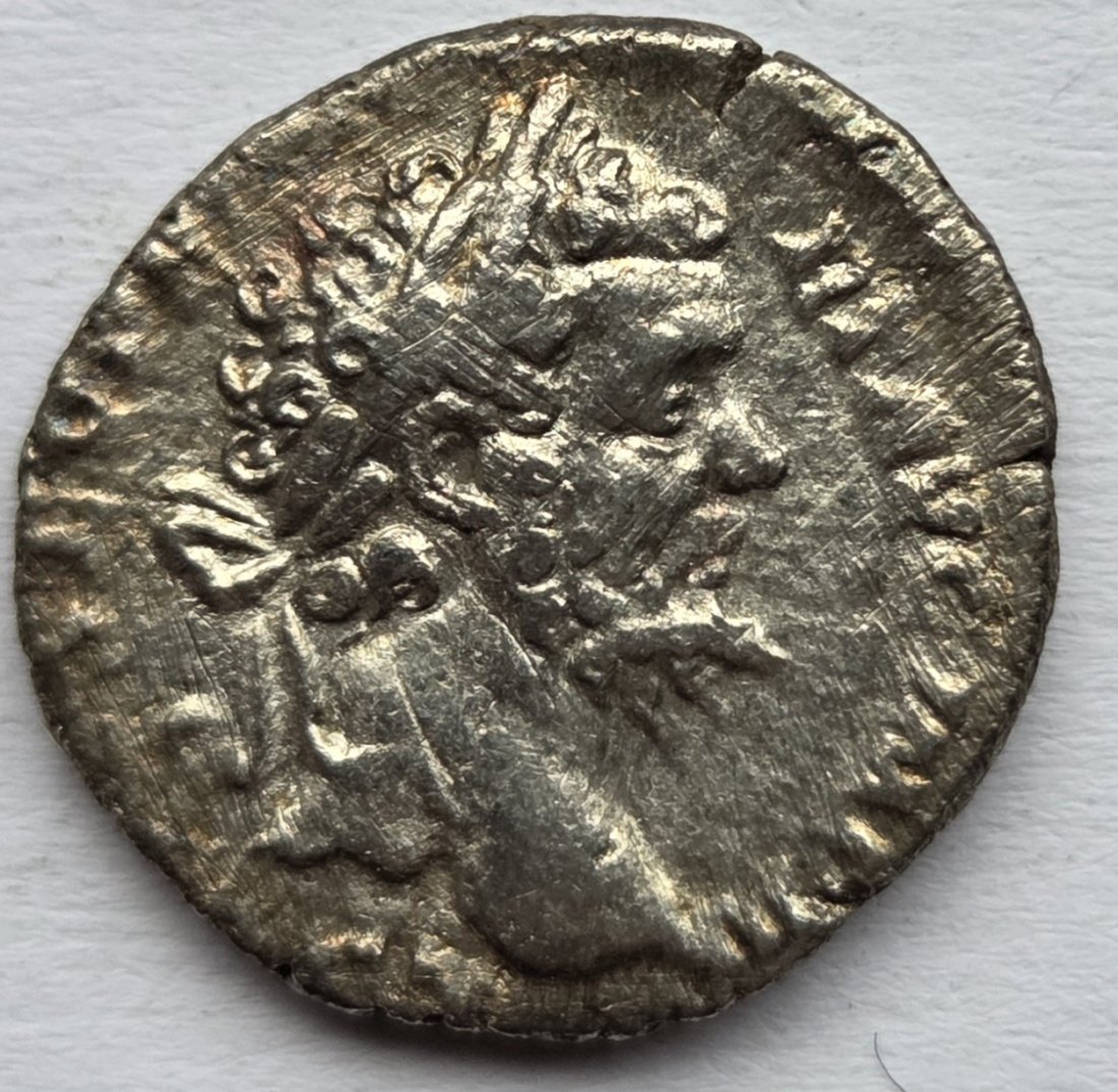  Römer: Denar Septimius Severus (193-211)   