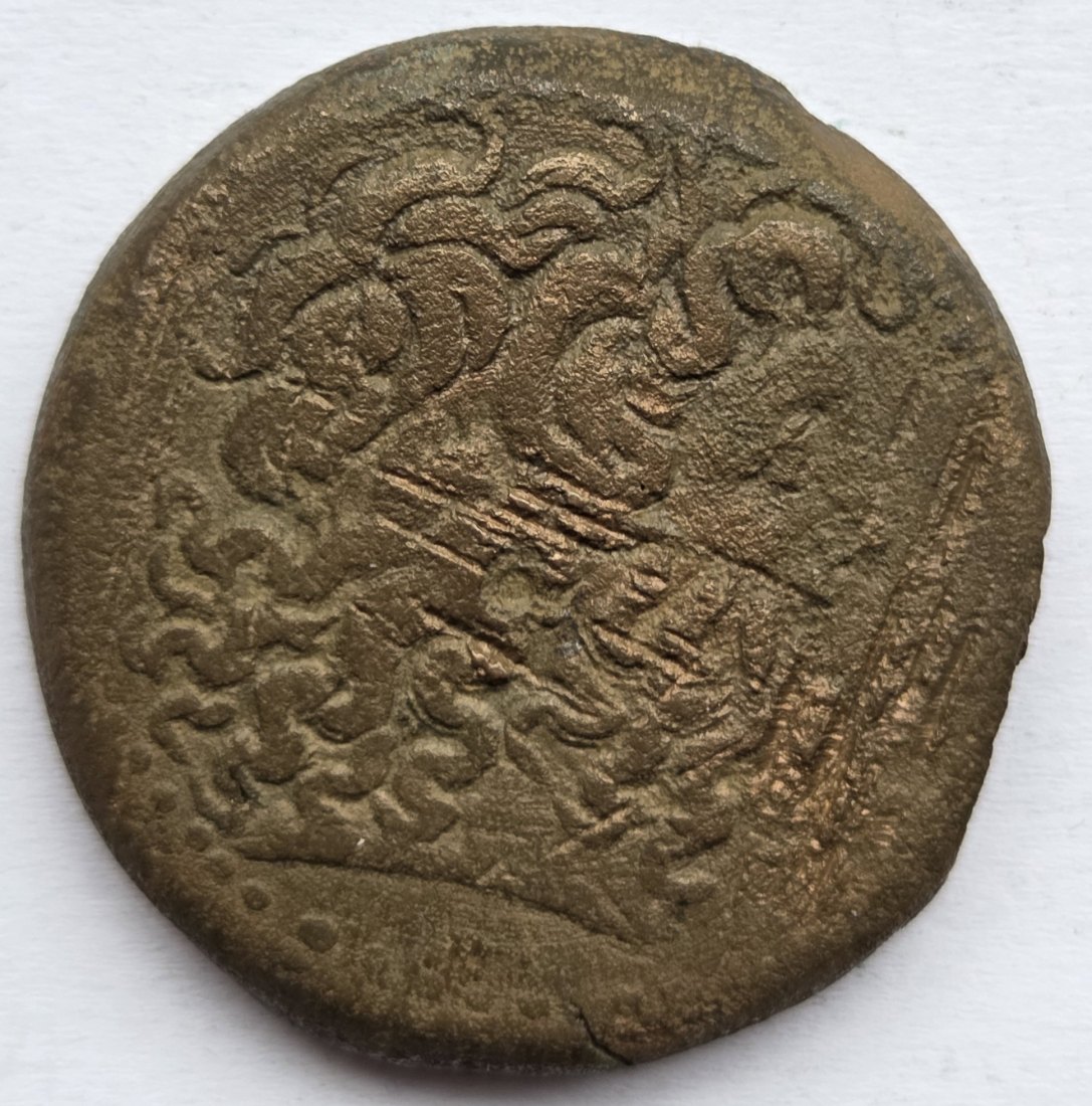  Ptolemäer: Tetrobol, 40,2 g   