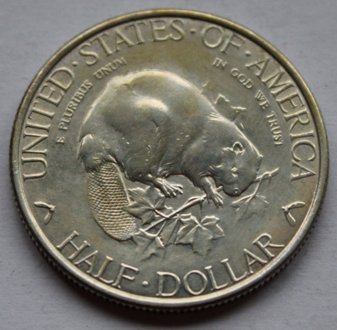 USA Hal Dollar 1936 Albany