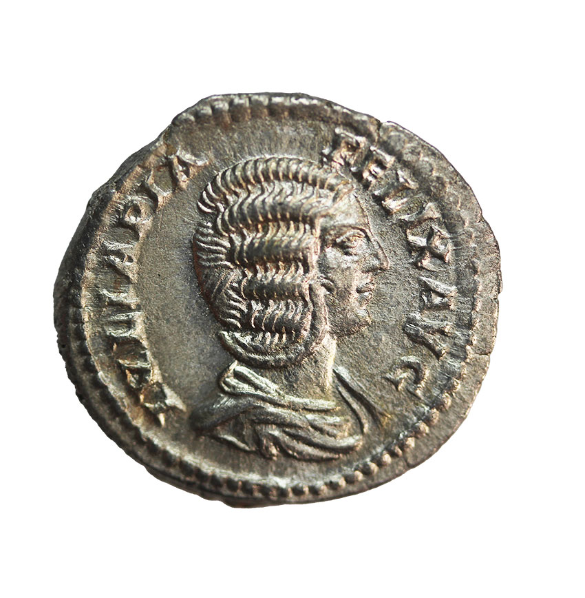  Julia Domna 213 AD,AR Denarius ,3,41 g.,   