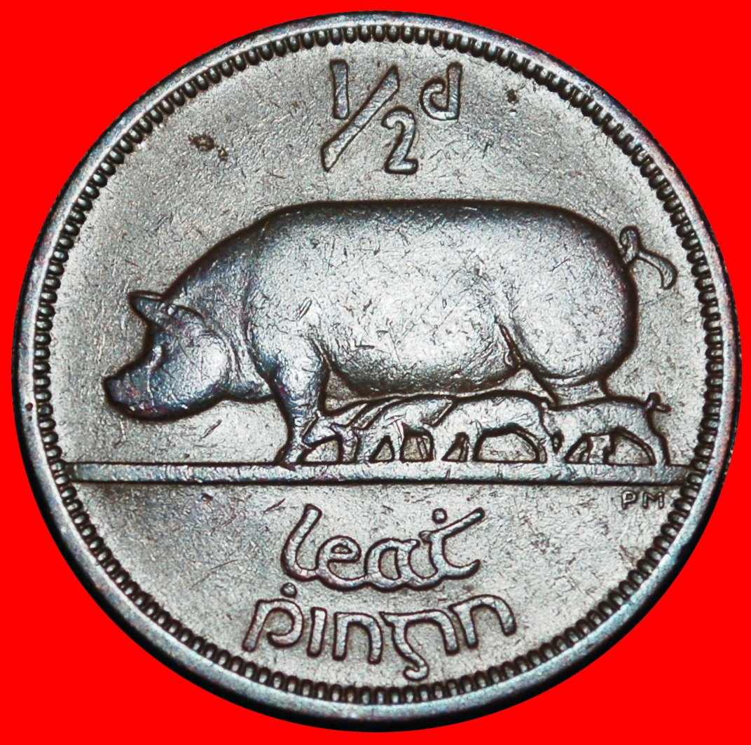 Ⰿ GREAT BRITAIN (1939-1967): IRELAND ★ 1/2 PENNY 1946 PIG! UNCOMMON!★LOW START★NO RESERVE!