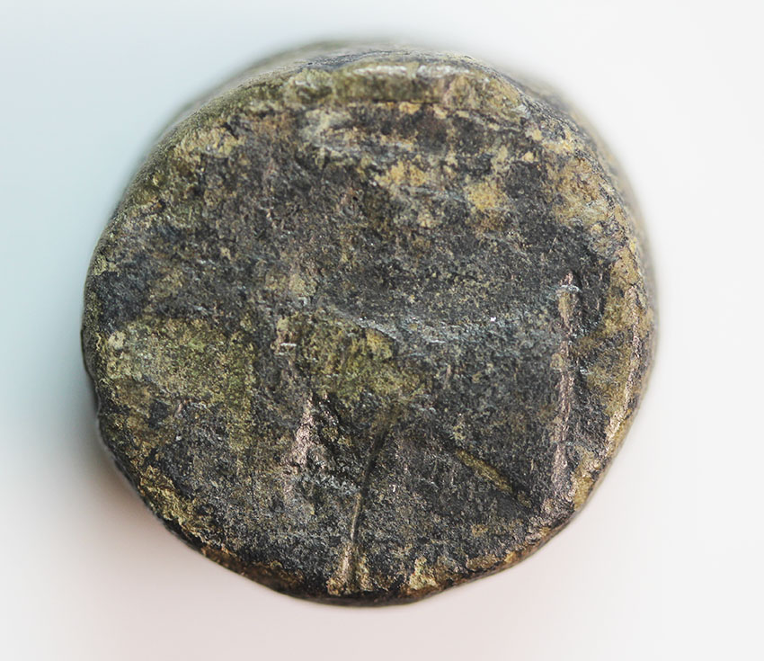 Amadokos I.,King of Thrace 359-351 BC,AE 17 mm, 14,58 g ,RARE T-019