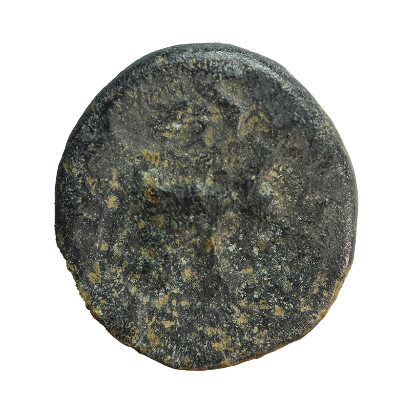  Seuthes III. king of Thrace 330-300 BC,AE 19 mm, 4,83 g   