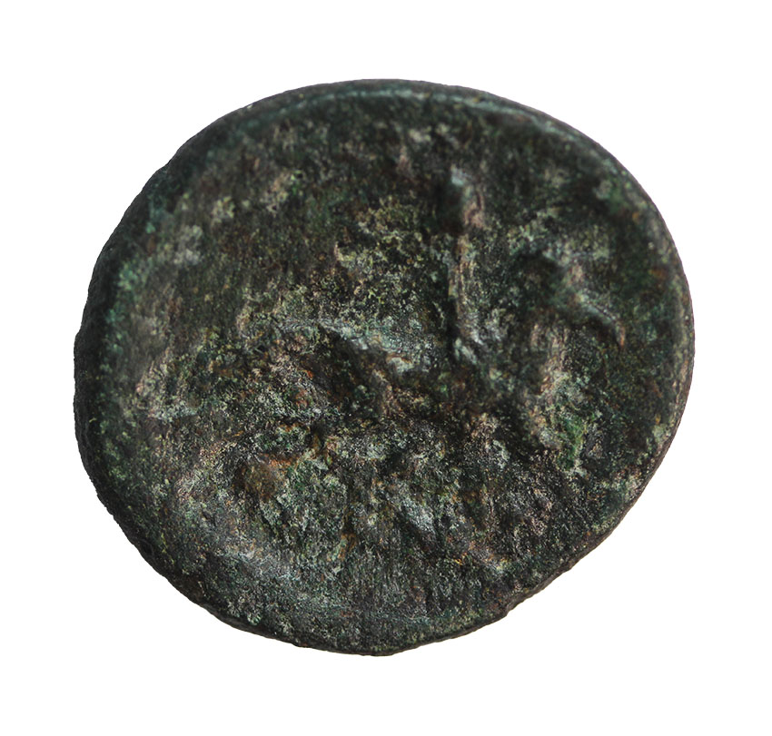  Seuthes III. king of Thrace 330-300 BC,AE 20 mm, 5,63 g   