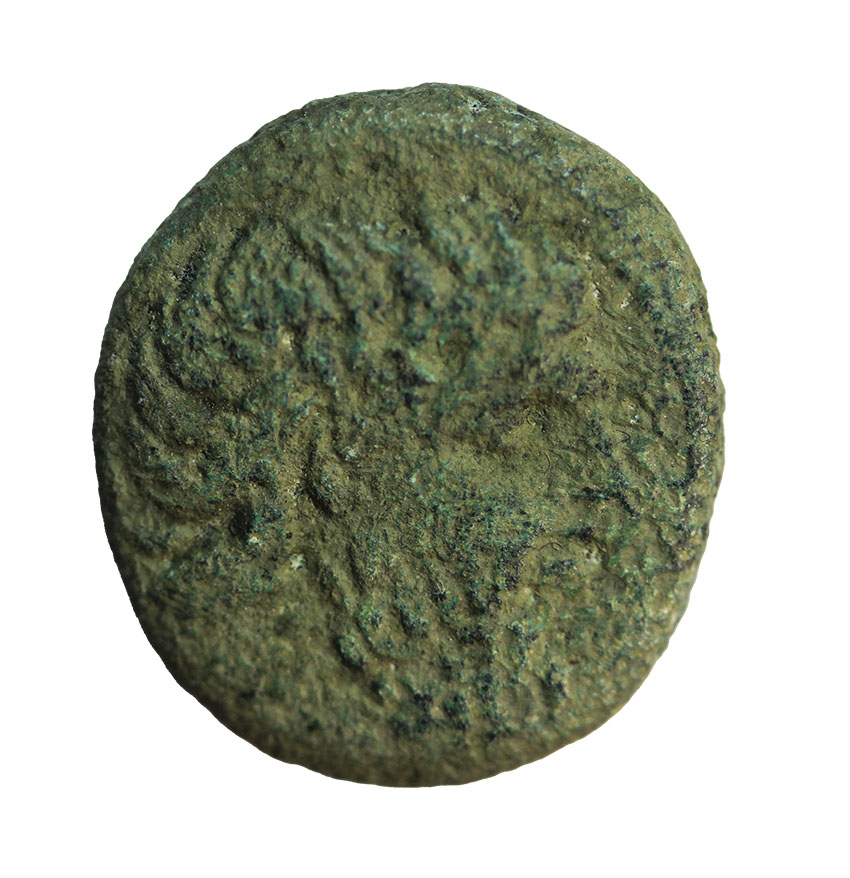  Seuthes III. king of Thrace ca.324 BC,AE 19 mm, 5,21 g   