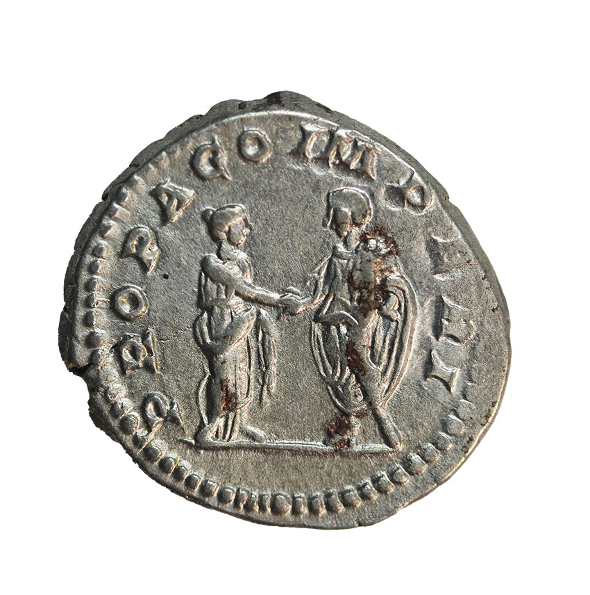 Plautilla 202 AD, ,AR Denarius ,3,28 g.
