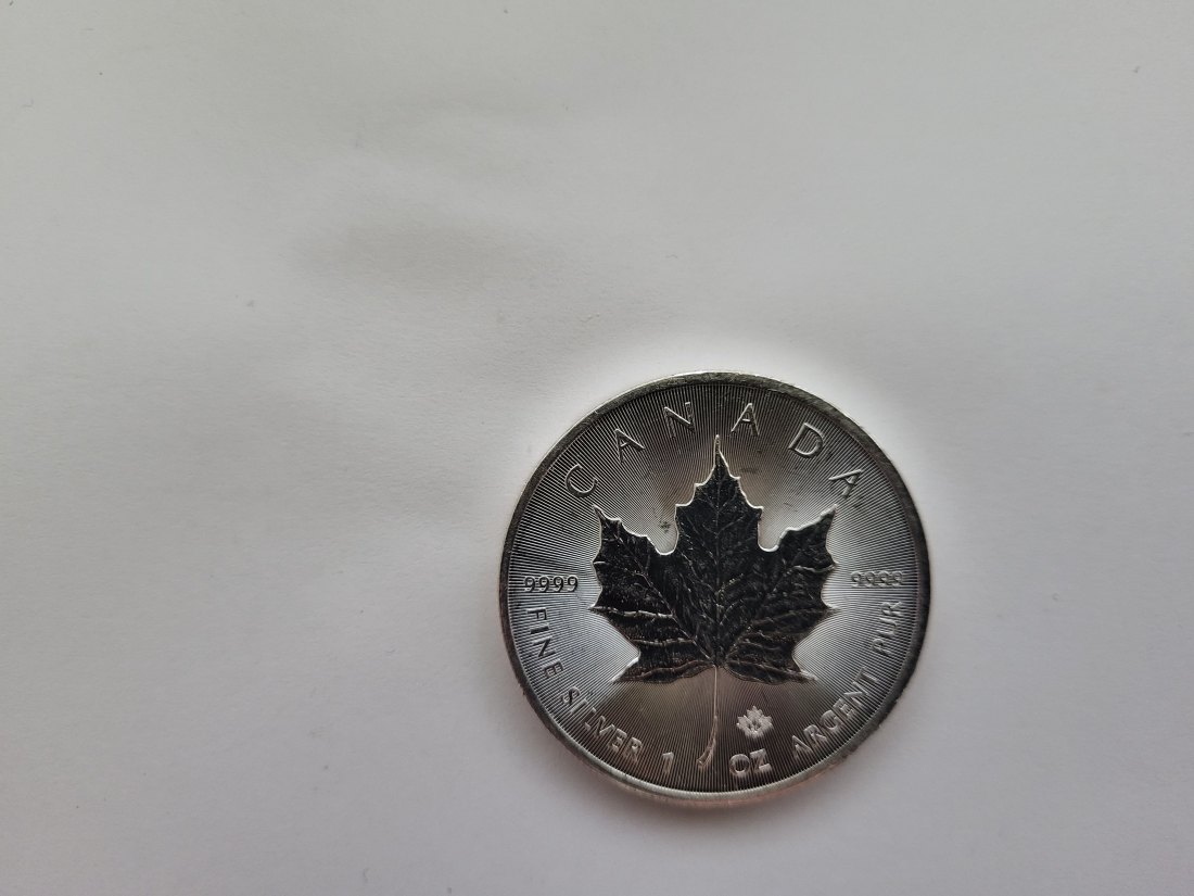  5 Dollars 2021 Maple Leaf 1 Oz Unze Silbermünze Kratzer 9999 Kanada Spittalgold9800 (5378   