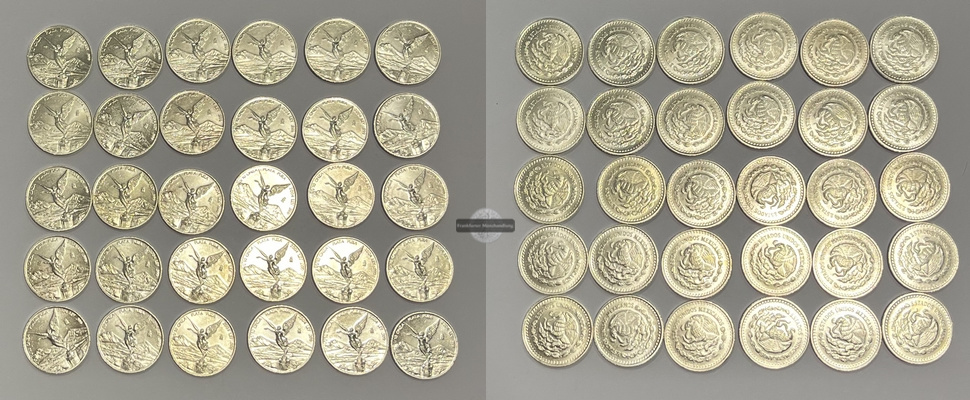  Mexiko 30x 1/10 Onza Plata Pura 2004 FM-Frankfurt Feingewicht: 93,2g   