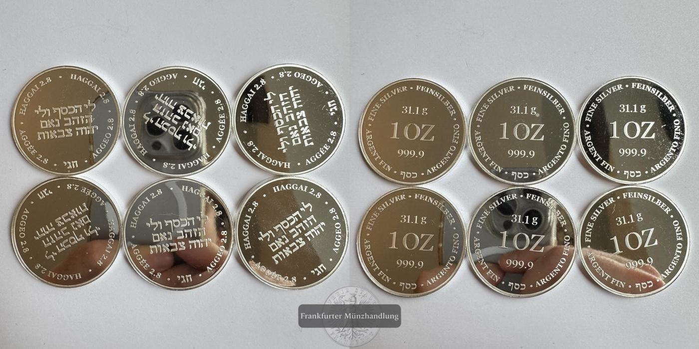  Schweiz Silbermedaille 1 Oz Haggai 2.8 LOT (6 Münzen) FM-Frankfurt Feinsilber: 186,6g   