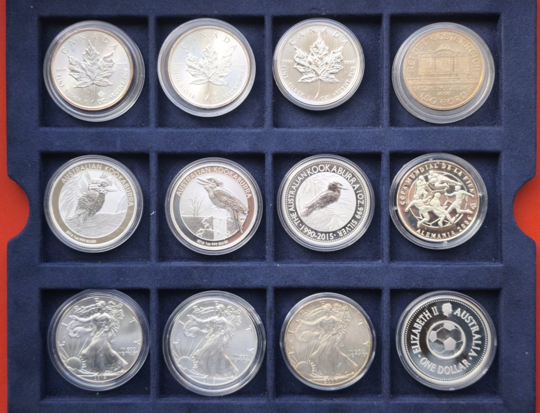  12x 1 oz Silbermünzen .999 - Feinsilber   