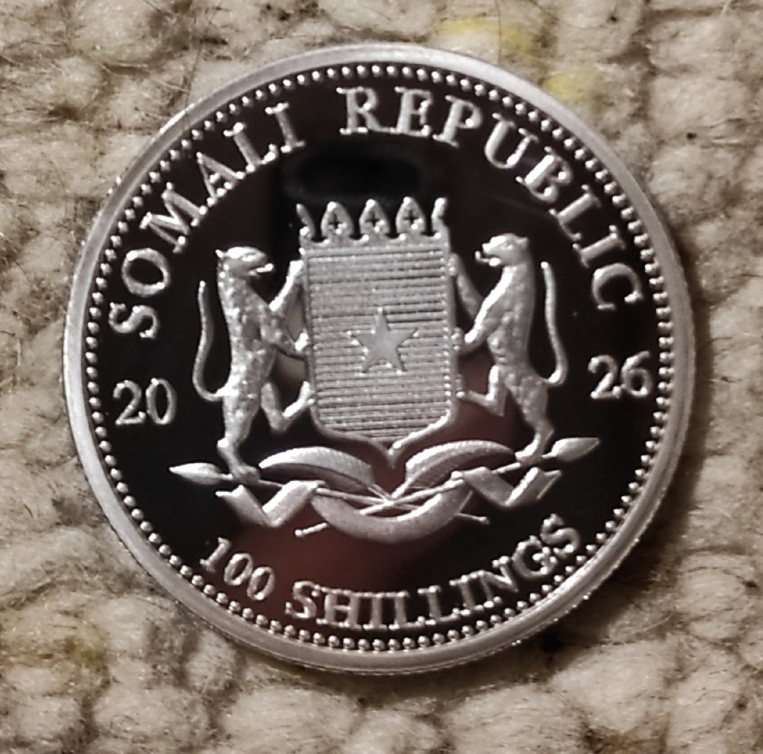  Somalia 100 Schillings 2026 1 OZ Silber   
