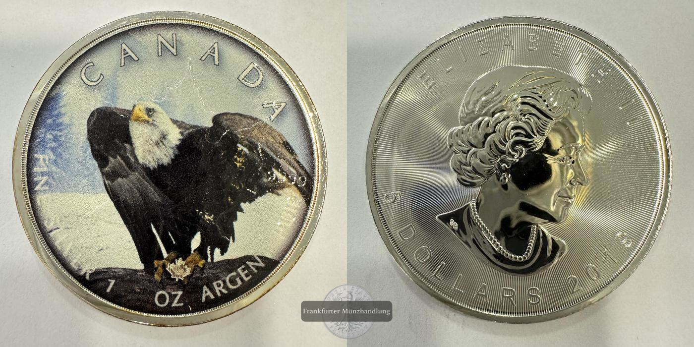  Kanada 5 Dollars (Elizabeth II) Weißkopfseeadler Coloured 2019 FM-Frankfurt Feinsilber: 31,1g   