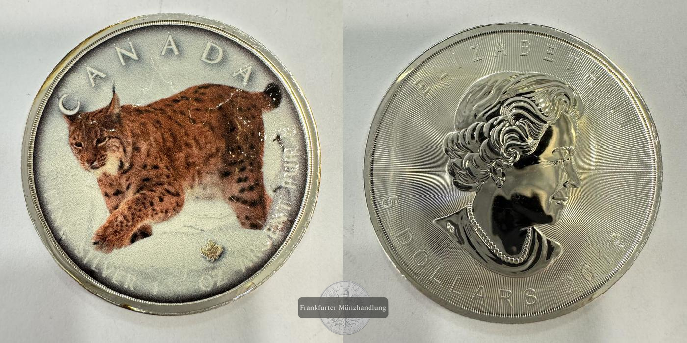  Kanada 5 Dollars (Elizabeth II) Lynx/Luchs Coloured 2019 FM-Frankfurt Feinsilber: 31,1g   