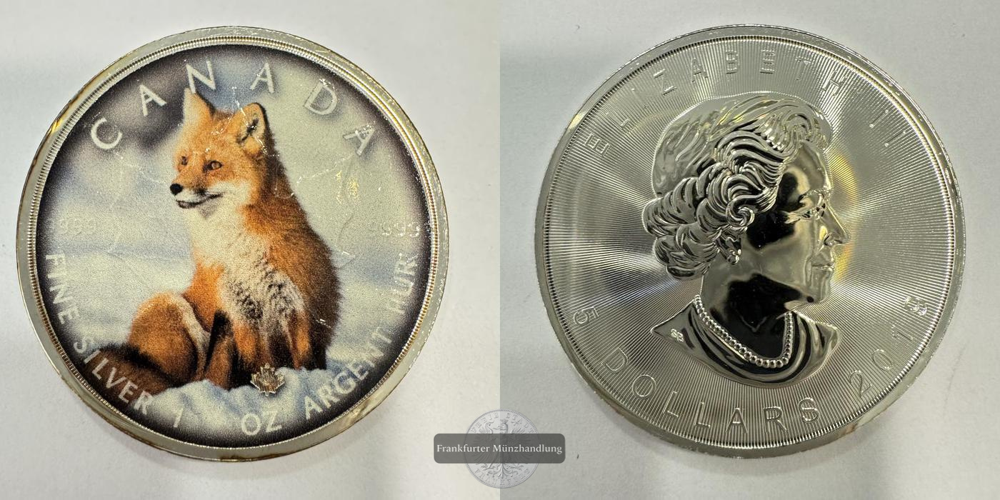  Kanada 5 Dollars (Elizabeth II) Fox/Fuchs Coloured 2019 FM-Frankfurt Feinsilber: 31,1g   