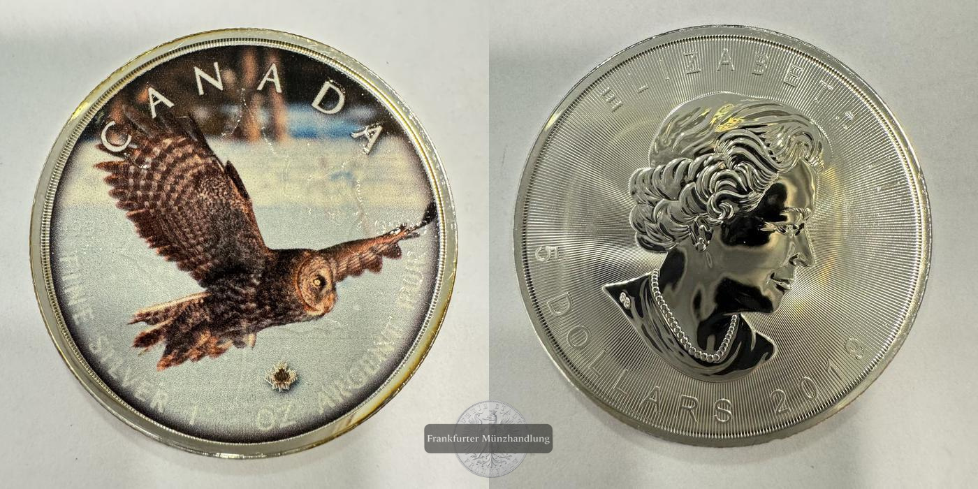  Kanada 5 Dollars (Elizabeth II) Owl/Eule Coloured 2019 FM-Frankfurt Feinsilber: 31,1g   