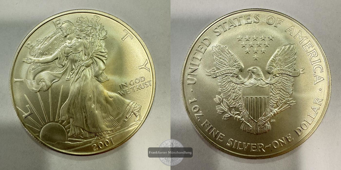  USA 1 Dollar  2001  American Eagle  FM-Frankfurt Feinsilber: 31,1g   