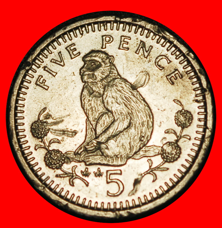  Ⰺ GREAT BRITAIN (1988-2003): GIBRALTAR★ 5 PENCE 1991AA! ELIZABETH II 1953-2022★LOW START★NO RESERVE!   