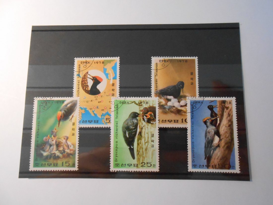  Briefmarken Nordkorea 1978 - Tristamspecht- (78)   