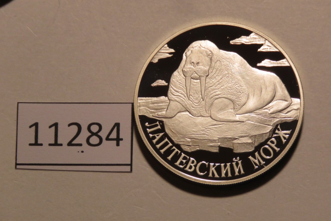  11284  Rußland 1998 - 1 Rubel - WALROSS - 17,44 g SILBER 0.900   