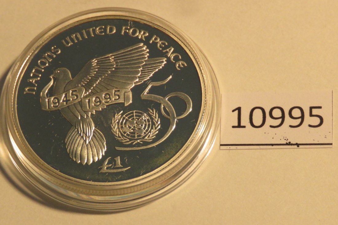  10995 Irland 1995 - 1 Pound - 28,28 g SILBER 0.925 - 50 Jahre U N O   