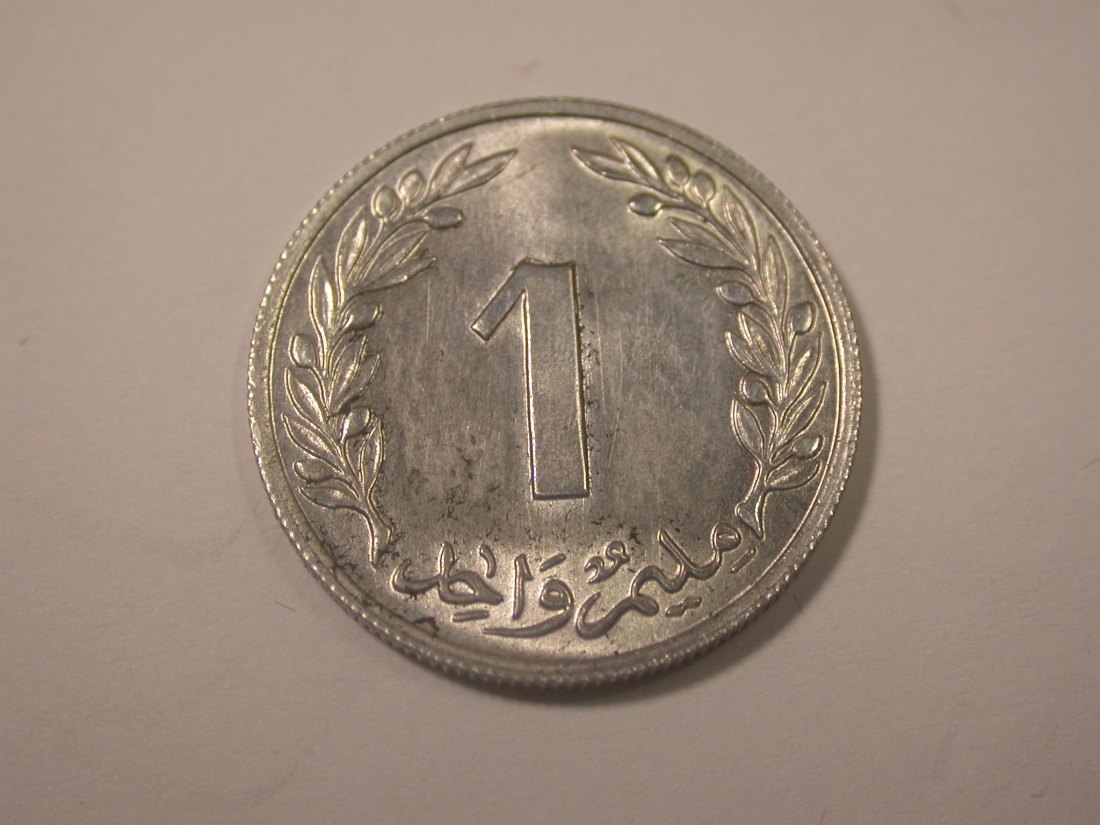  J31  Tunesien  1960  1   f. unc  Originalbilder   