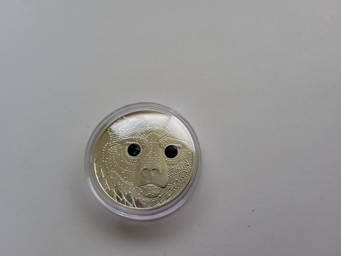  20 Euro 2023 Amerika Heilkraft des Bären 925/20,74g fein silber Österreich Spittalgold9800 (5370   