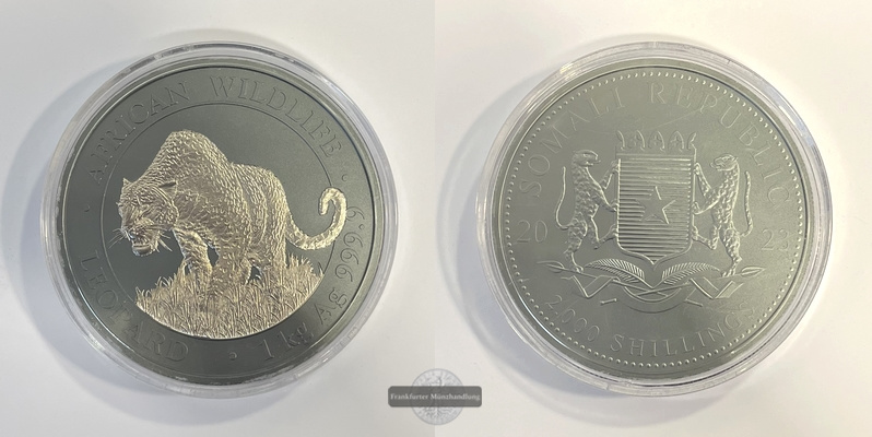  Somalia 2000 Shillings 2023 Leopard Black Premium Edition FM-Frankfurt Feinsilber: 1.000g   