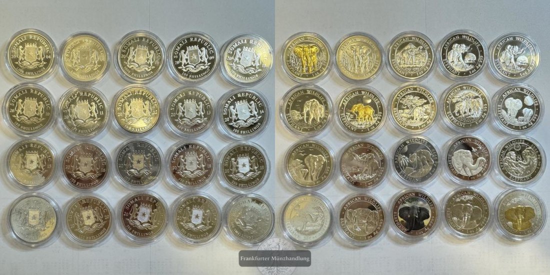  Somalia Wildlife 20 x 100 Shillings (1 Unze) FM-Frankfurt Feinsilber: 623g   