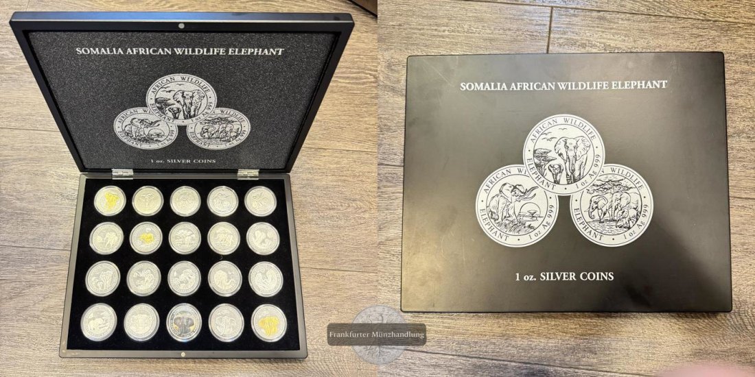  Somalia Wildlife 20 x 100 Shillings (1 Unze) FM-Frankfurt Feinsilber: 623g   