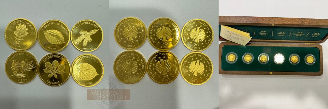  Deutschland Deutscher Wald Set 20-Euro Goldmünzen MM-Frankfurt Feingold: 23,32g   