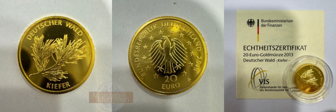  Deutschland Deutscher Wald 20-Euro Goldmünze Kiefer 2013 MM-Frankfurt Feingold: 3,89g   