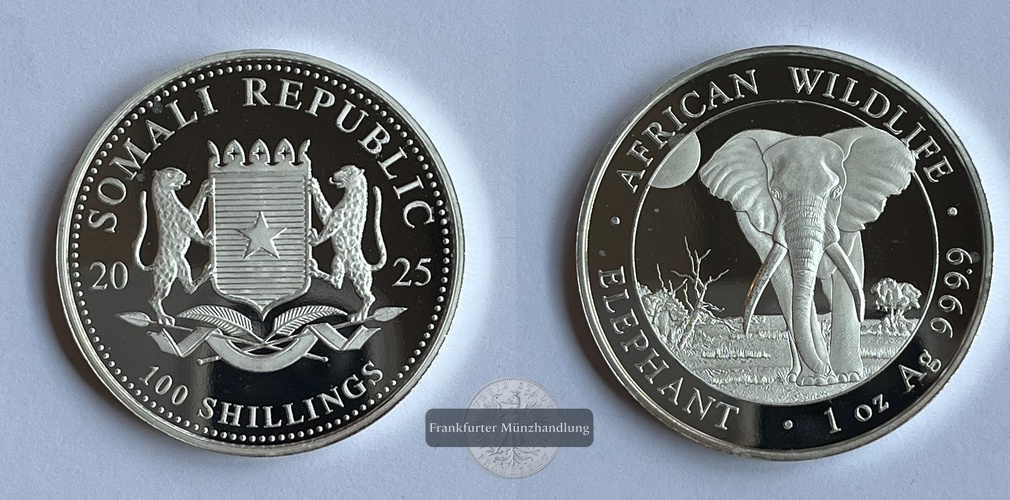  Somalia  100 Schilling 2025 African Wildlife Elephant FM-Frankfurt  Feinsilber: 31,1g   
