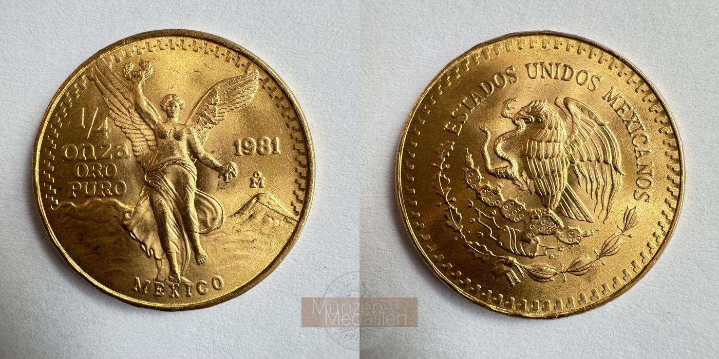  Mexiko 1/4 Onza Libertad 1981 (1981-1982) FM-Frankfurt KM#487 Feingold: 7,77g   
