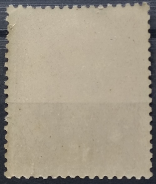  1917,109-year-old Austro-Hungary Monarchy stamp,Mi AT 221x (Emperor Karl I),MNH   