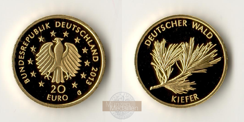 BRD  20 Euro 2013 G MM-Frankfurt  Feingold: 3,89g Deutscher Wald - Kiefer  