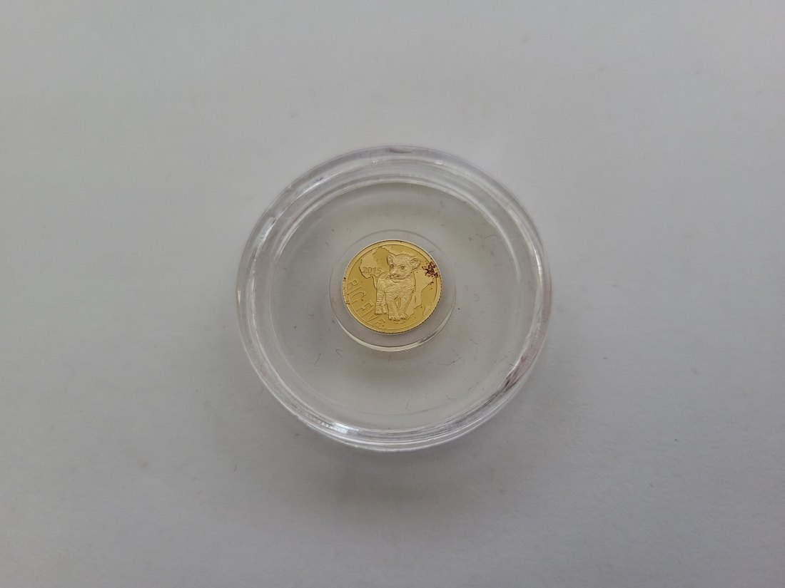  100 Francs 2015 Big five Löwe Goldmünze 0,5g 9999 Kongo Spittalgold9800 (5525   