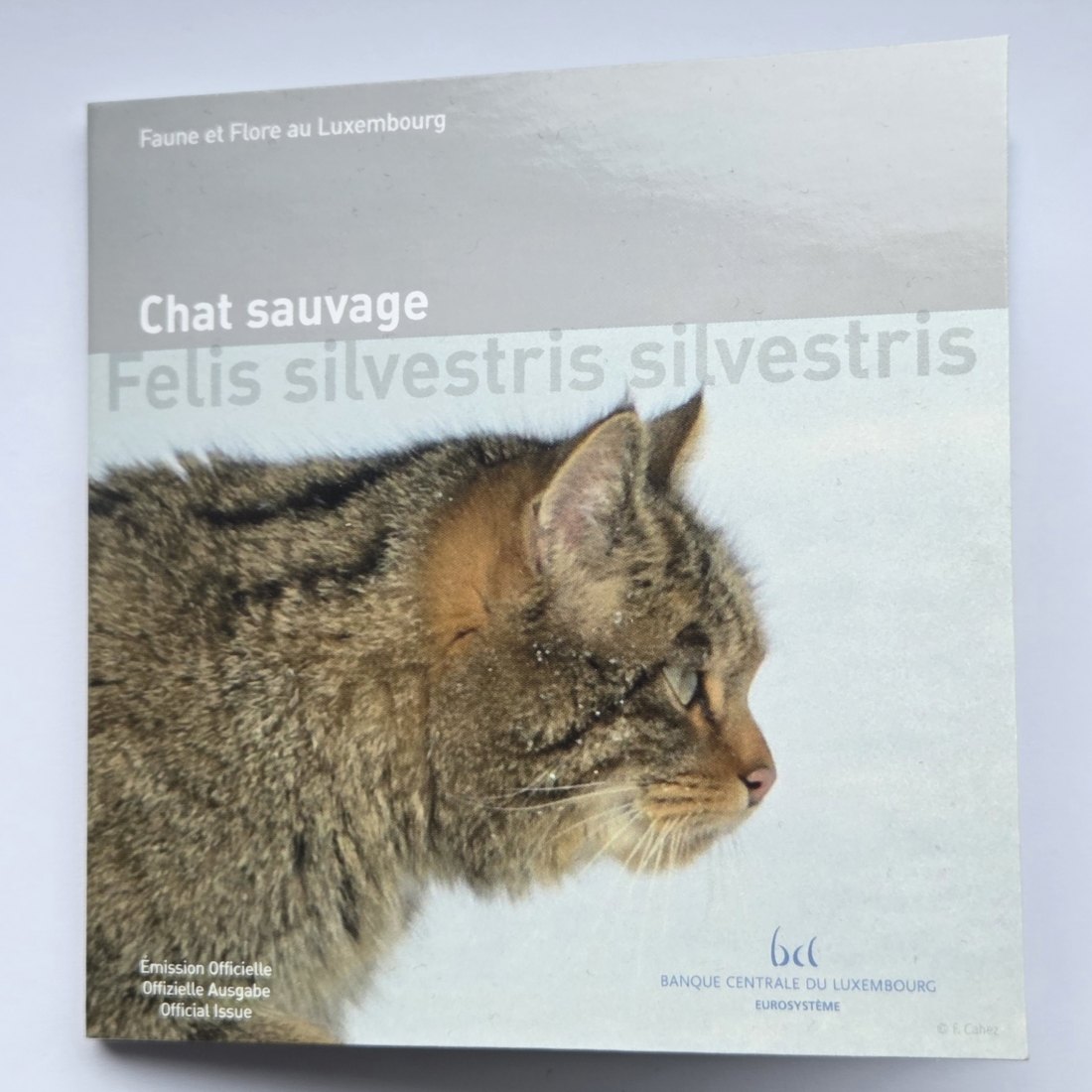  Luxemburg: 5 Euro Wildkatze 2015   