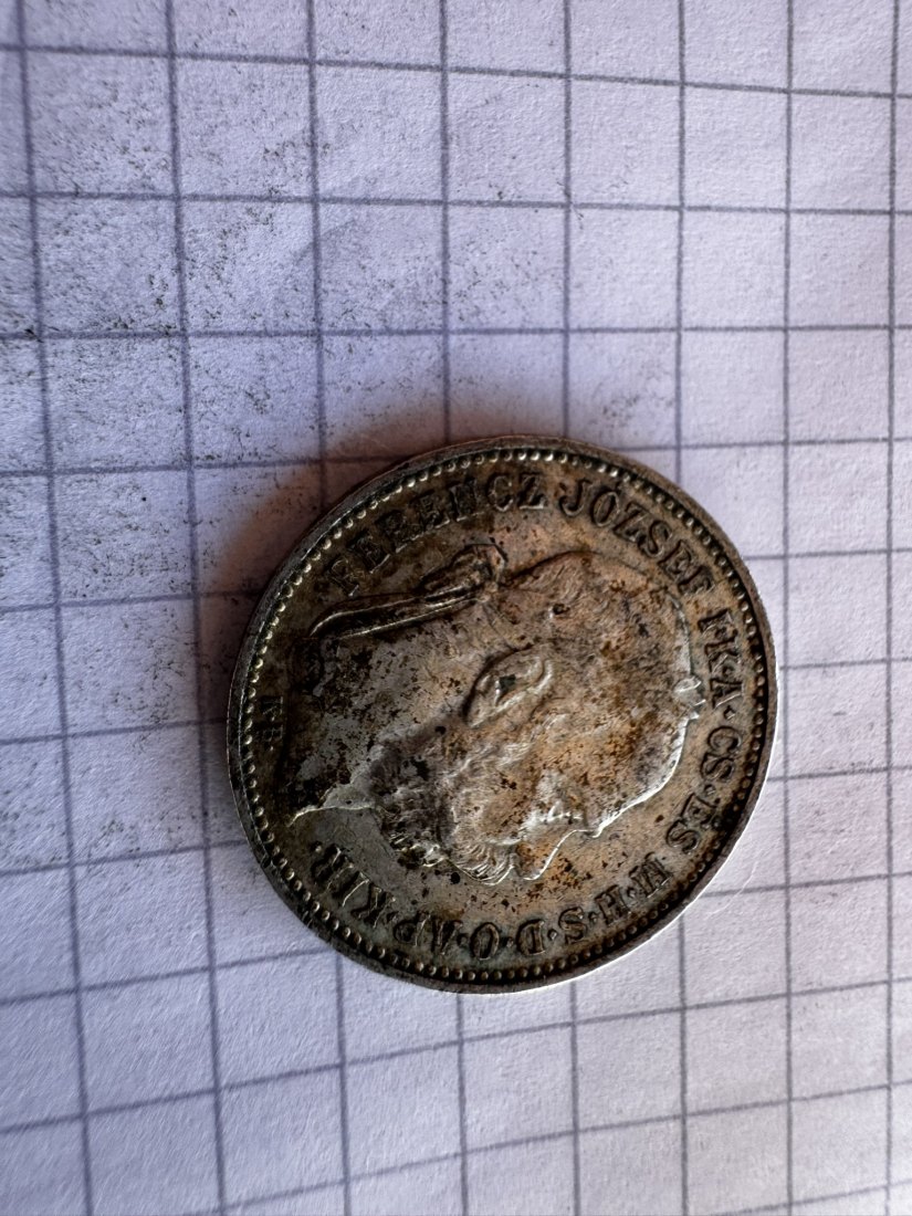 Ungarn, 1 Krone, 1894