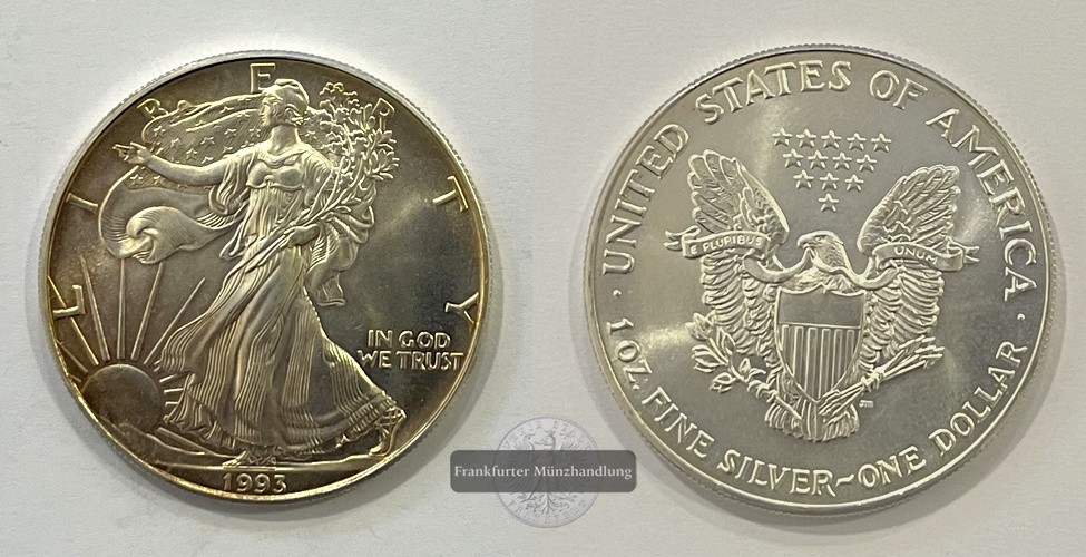  USA 1 Dollar 1993 (1986-2021) Walking Liberty FM-Frankfurt KM#273 Feinsilber: 31,1g   