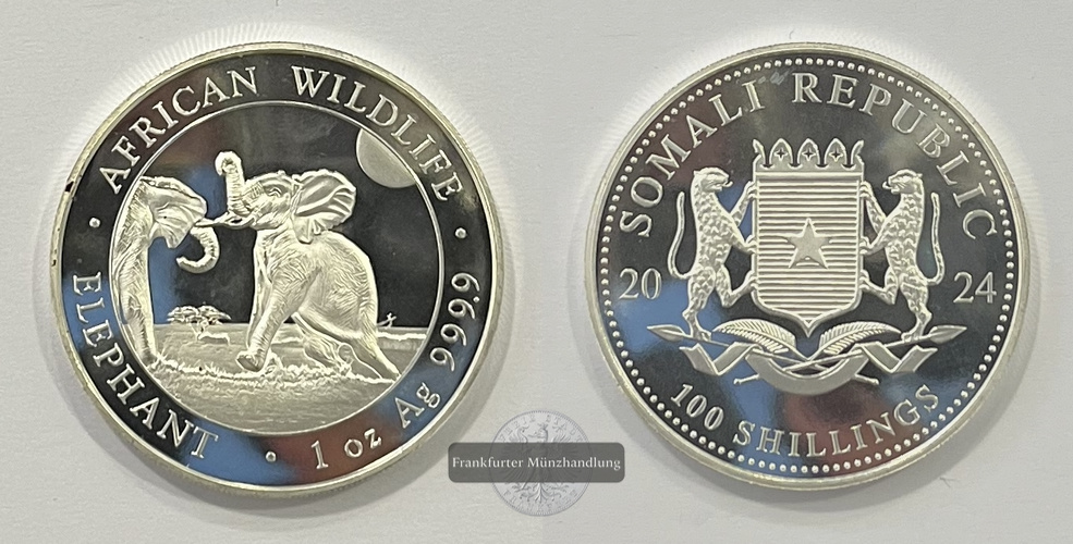  Somalia  100 Schilling 2024 African Wildlife Elephant FM-Frankfurt  Feinsilber: 31,1g   