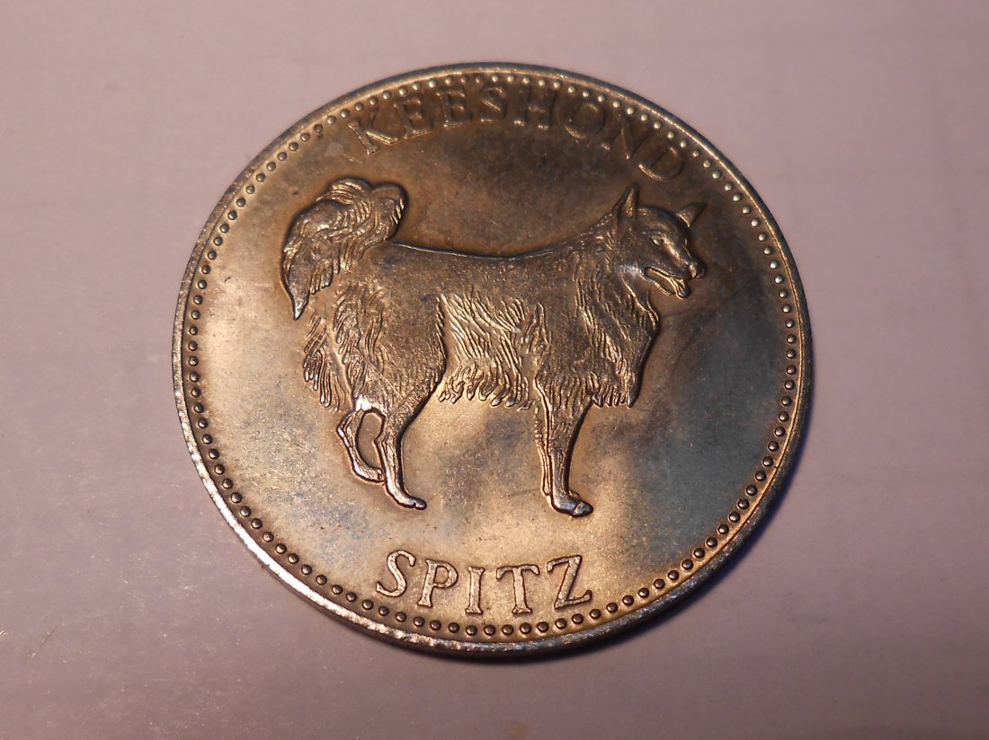  #MED4 Medaille FROLIC Schmeckt jedem Hund, Kesshond, Spitz,   